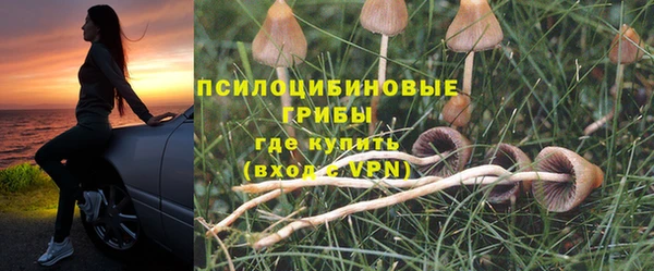сатива Магадан